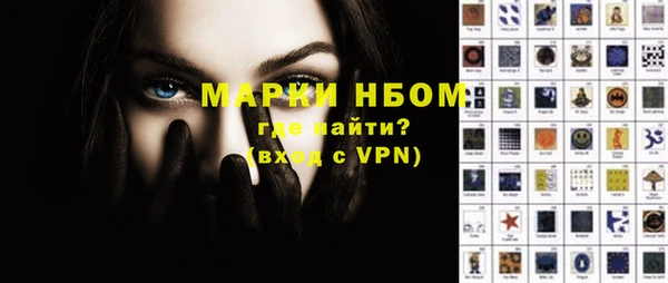 индика Абаза