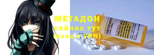 индика Абаза