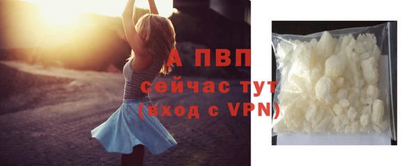 индика Абаза