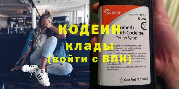 индика Абаза