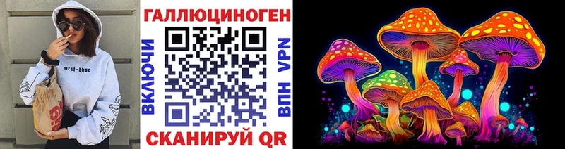 купить закладку  Таганрог  Галлюциногенные грибы Cubensis 